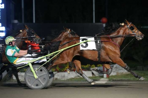 Ny topptid av ”Elitloppshäst”?