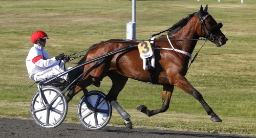 Felicity Shagwell på gång igen?