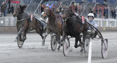 Svårt spår för Global Welcome