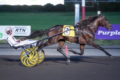 Grym uppvisning, Greenshoe!