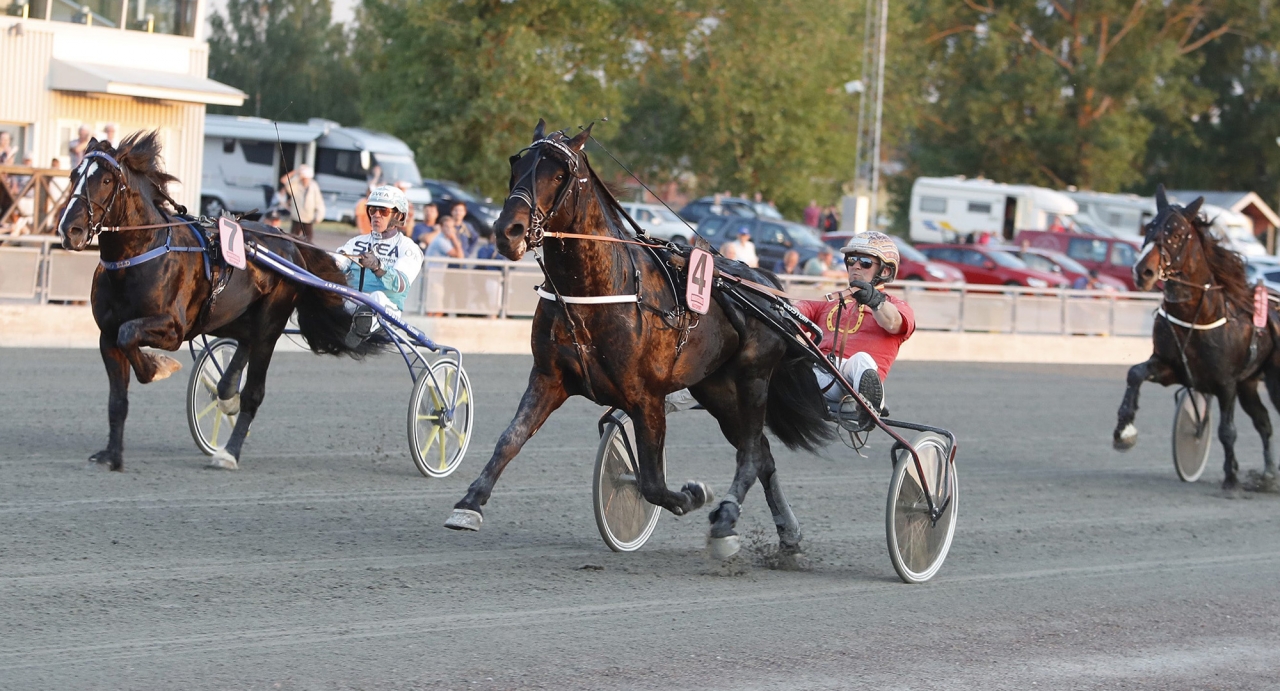 Grislefaksen G.L. med Jan Roar Mjölneröd stod emot Tekno Eld på upploppet i fyraåringsfinalen av Sleipner Cup på Romme. Foto Micke Gustafsson/ALN