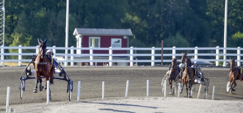 Inti Boko rekorddebutant