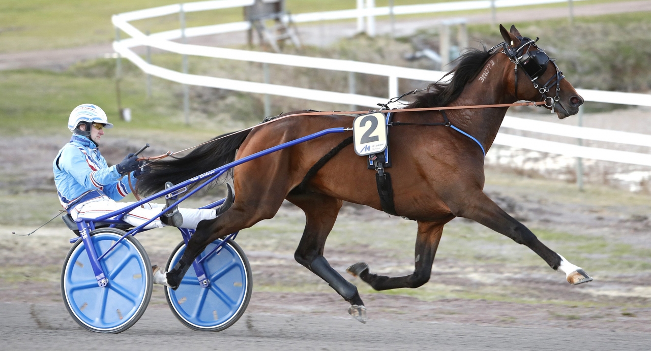 King On The Hill med Hans G Eriksson. Foto Micke Gustafsson/ALN