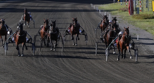 5-9 juni: Hästarna som startar under superhelgen