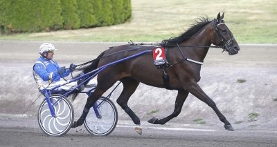 Roses Glory har blivit mor