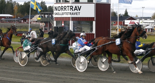 Månsson blickar mot årets höjdpunkt