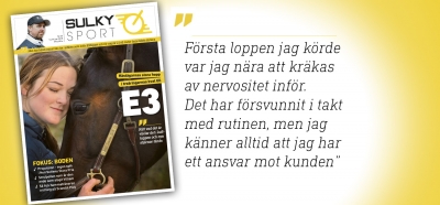 ”Regeringen saboterar riksdagens beslut”