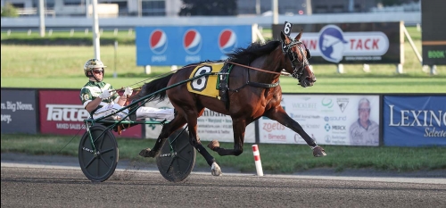 Svenskar i blickfånget