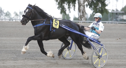 Sex av tolv från samma tränare