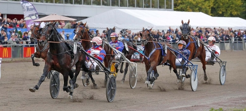 Svenskfödd hingst till avel i USA