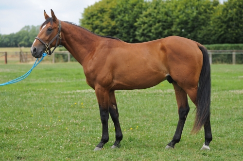 Ett svenskköp i Frankrike