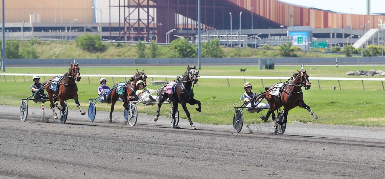 Green Manalishi vann sin debut i natt på Pocono Downs. Bilden är tagen vid en kvalvinst på Meadowlands. Foto Jeannie Karlsson/Sulkysport