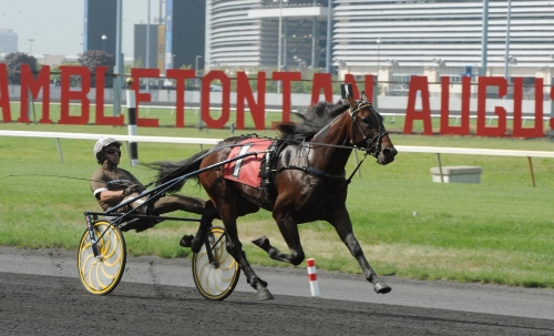 Greenshoe kostade mest