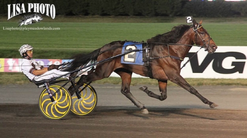 Världsårsbästa av Greenshoe