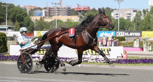 V75: 20 miljoner extra i potten