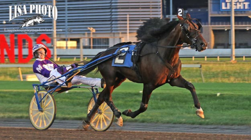 Andra storloppet till Lucius