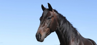 Imponerande av Makethemark