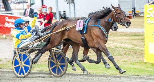 Mellby Free vann Stochampionatet