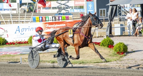 Platon Face till Åby Stora Pris!