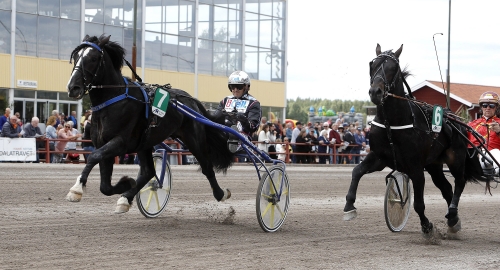 14–19 juli: Hästarna som startar på folkfesterna