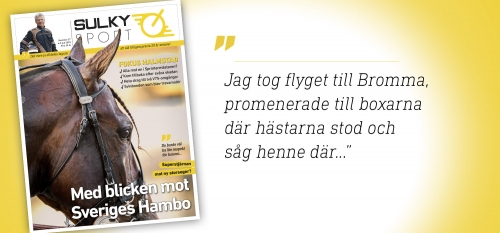 Sulkysport nummer 27