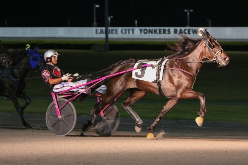 Obesegrad efter tre starter