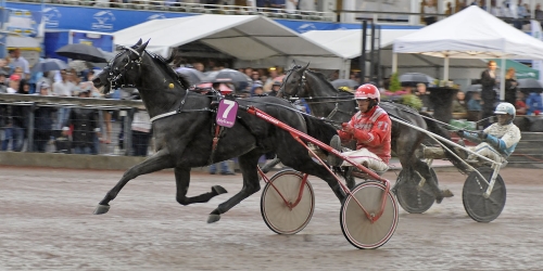 Alcoy plötsligt en spännande Derbyhäst