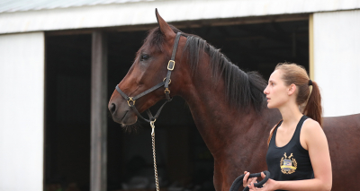 Greenshoe plus franskt är sant