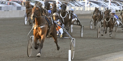 Öppen jackpotomgång i norr