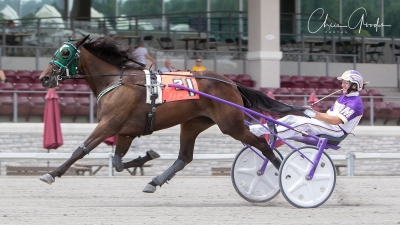 David Miller i storform och svenska pallplatser