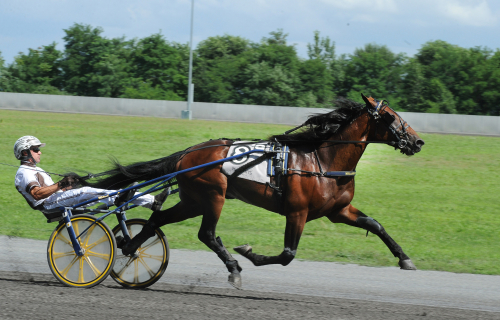 Thrust Control flyttar söderut