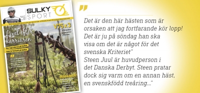 Tema – Livet efter karriären