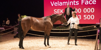 Stall Denco var på hugget!