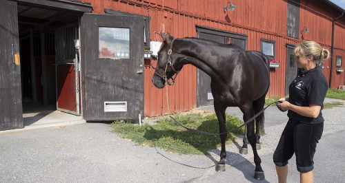 Very Kronos bäst i test