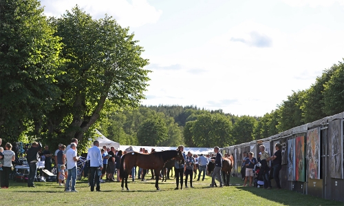 Ny auktion på Åby!