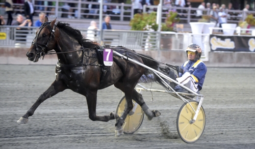 Sjätte raka för Zack’s Zoomer