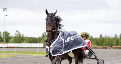 Svårslagen från spets