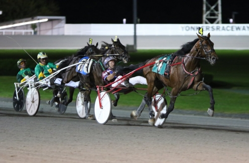 New York-champion i topp