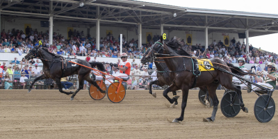 13–17 april: I väntan på påsktravet…