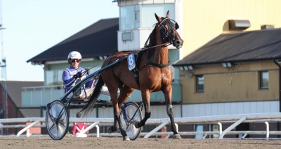 Premiär – senaste nytt till V86