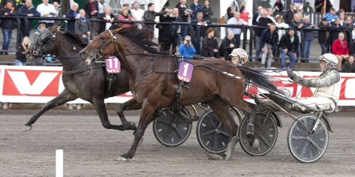 Lindgren stal showen