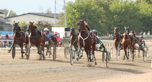 Riksdomare tar timeout