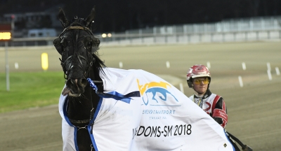 Lärlingsligan på Mallorca