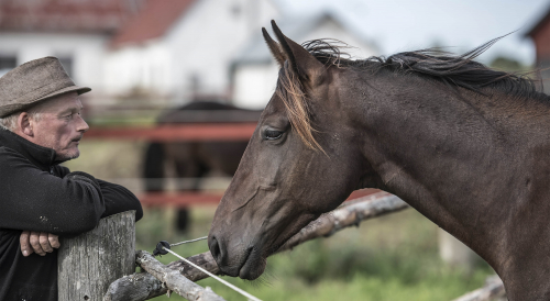 Belker tillbaka på banan