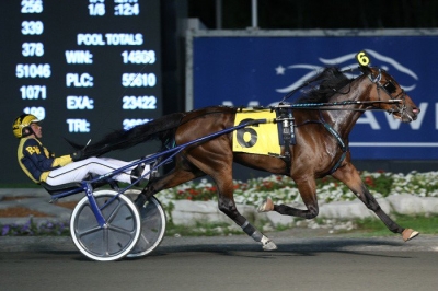 Hambo Oaks-tvåa till avel