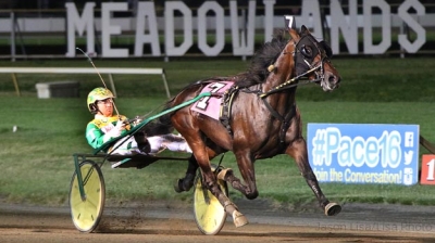 Stortravare lämnar Melander