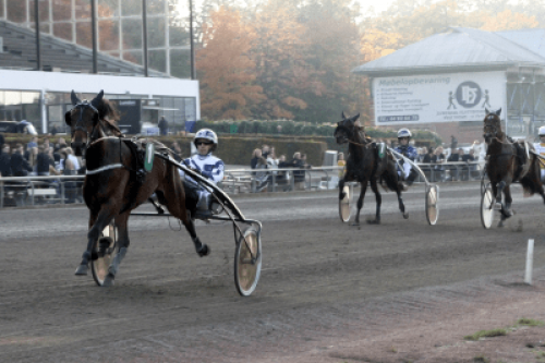 Snabb tvååring på Lunden