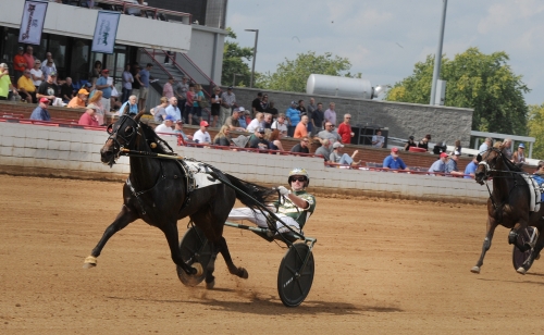 Sto såldes för 300.000 dollar