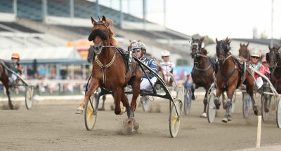 V75: Gränslöst hemmahopp