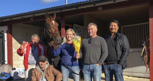 ”Vill lägga mycket tid på hästarna”